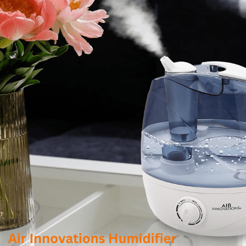 Air Innovations Humidifier
